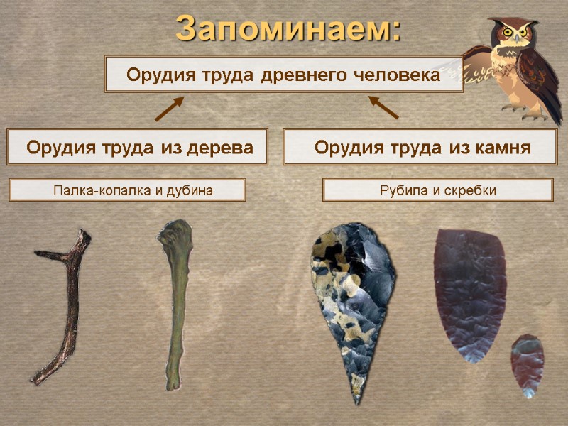 Орудия труда из дерева    Орудия труда из камня  Орудия труда